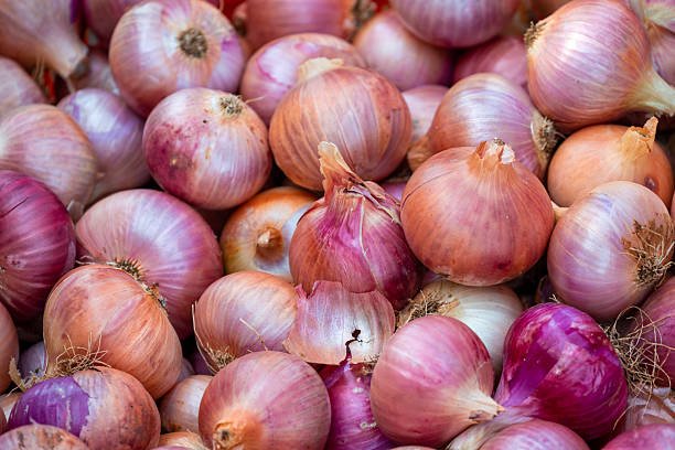 concept of organic vegetables. background of fresh onion close-up