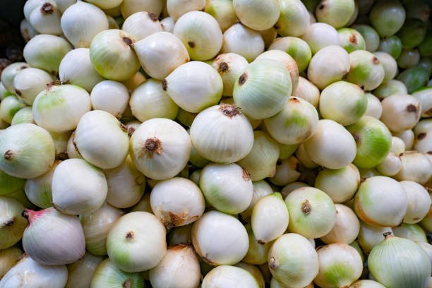 Close-up on onions in a shelf at the supermarket in the produce aisle